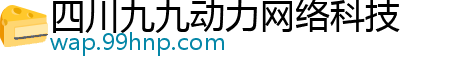 四川九九动力网络科技